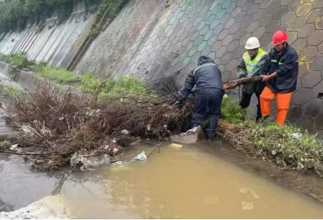 微信图片_20240823083341