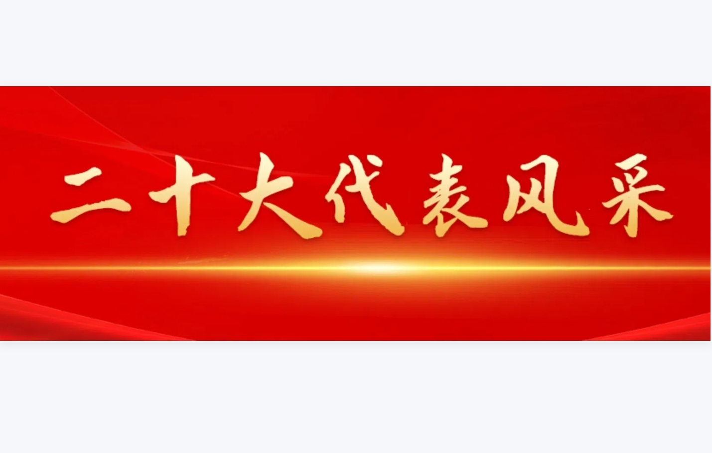二十大代表风采
