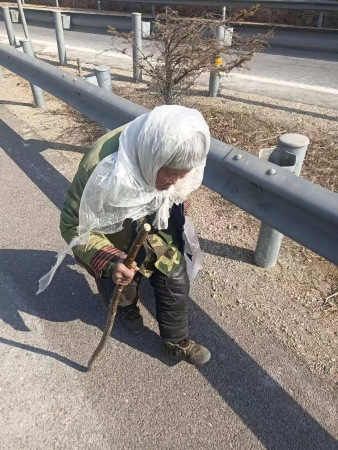 姚枢保