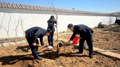 F:\00.分公司季度检查\2025年\02.办公室\宣传\3月份\4植树2