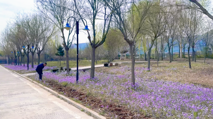 D:\2025年办公\2025宣传\四月\站貌1