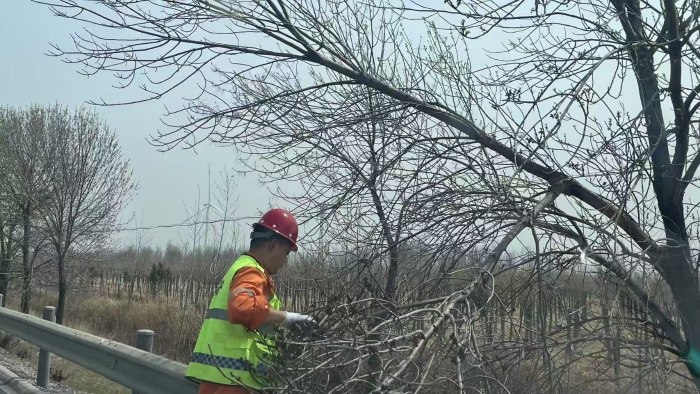 585339d22ad66e85b7efc0f5f4faad5