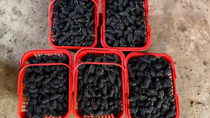 d:\Users\Administrator\Desktop\5.22\b172ffbc8fdf2349ff1c318fba07407