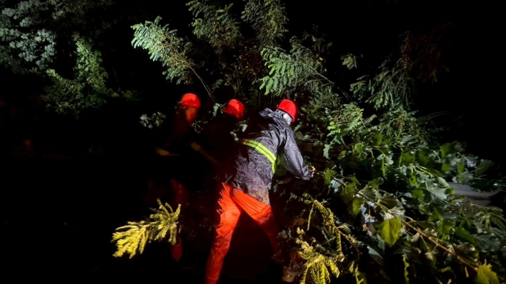 微信图片_20250813110232