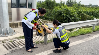 F:\00.分公司季度检查\2025年\02.办公室\宣传\8月份\11防护栏2